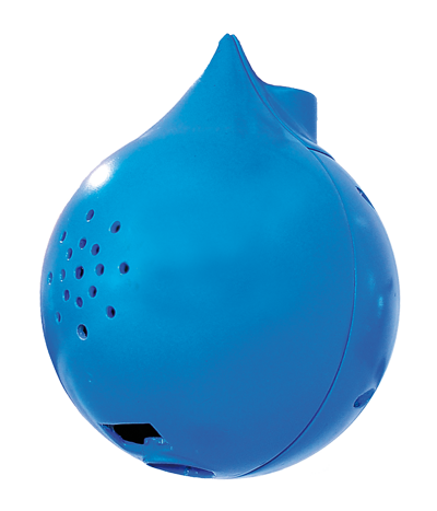 shell